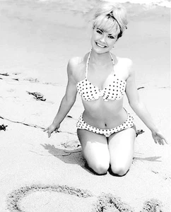 CHRIS NOEL 8 X 10 GLOSSY PHOTO #1 - Picture 1 of 1