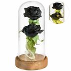 Rose Flower In Glass Surprize Women Birthday Motherday Valentine Gift For Girls