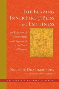 The Blazing Inner Fire of Bliss and Emptiness by David Gonsalez (Hardback Book) - Picture 1 of 1