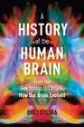 Histoire du cerveau humain : de l'éponge de mer à CRISPR, comment notre cerveau évoque...