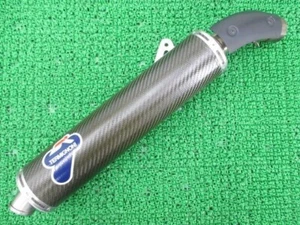 Termignoni Silencer Muffler for Ducati 1199 Panigale S R ++Cond Rare - Picture 1 of 3