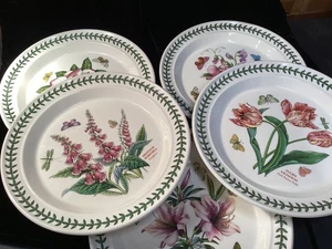 (SET OF 5) Portmeirion Botanic Garden 10 1/2" Dinner Plates ~EXCELLENT~ - Picture 1 of 7