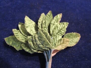 Vintage Green 2" Velvet Leaves 12pc Bunch Millinery Artificial Leaf Lot Cc8a - Picture 1 of 3