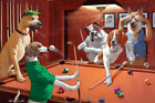 Lustige Tiere Hunde Spielpool Billard Keramik Fliese Wandbild Backsplash