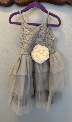 Pink & Violet NWT $74  Lace Glitter Mesh Dress Toddler Girls 4 Gray - Image 1 of 4