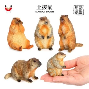 Simuliertes Wildtiermodell Murmeltier Murmeltier Eichhörnchen Spielzeug Modell - Bild 1 von 22