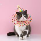 Cat Birthday Hat Dog Hat Cat Bib Dogs Costume Capfor Pet Birthday Party