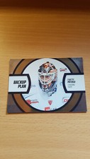 LED 16-17 2016-2017 BASIC 2 BACKUP PLAN DIMITRI PATTZOLD STRAUBING TIGERS