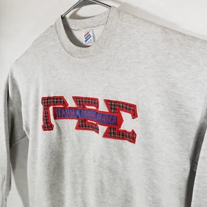 Vintage Jerzees Gamma Sigma Sigma Sweatshirt Crewneck Fraternity XL USA Made - Picture 1 of 10