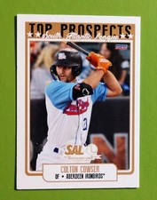 Colton Cowser 2022 S Atlantic League Top Prospects Ironbirds Orioles Rookie