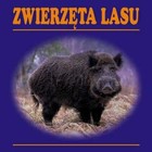 ZwierzÄTa Lasu Harmonijka (Zwierzeta) / G&P Oficyna Wydawnicza