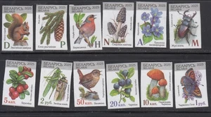 Belarus 2025 Wild Nature Bird Animal Insect Mushroom  Flowers set 12 stamps - Picture 1 of 1