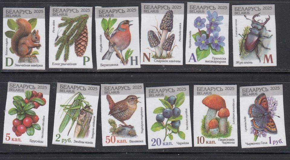 Belarus 2025 Wild Nature Bird Animal Insect Mushroom  Flowers set 12 stamps - Image 1 of 1