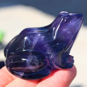 2.4" Natural Carved Fluorite Frog Reiki Crystal Creative Skull Decor gift 1pc - Imagen 1 de 10