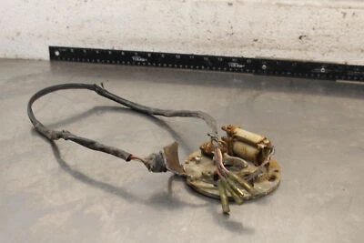 1982 Yamaha YZ490 ESTATOR MAGNETO GERADOR ALTERNADOR B250 - Imagem 1 de 4