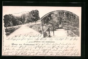 Schlüchtern, Ansichtskarte, Partien vom Acisbrunnen  - Picture 1 of 2