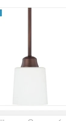 HomePlace by Capital Lighting Hayden 1 lámpara de techo colgante de 5" bronce 315111BZ  Foto 1 de 2