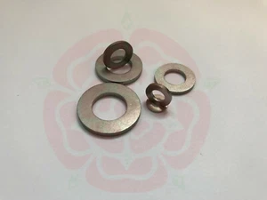 Titanium Washer DIN125 - M5 M6 M8 M10 M12 M14 GR2 GR5 Flat Washer - Picture 1 of 7