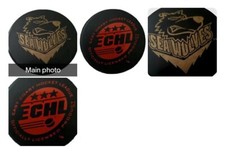 MISSISSIPPI SEA WOLVES VINTAGE RARE EAST COAST HOCKEY LEAGUE ECHL HOCKEY PUCK