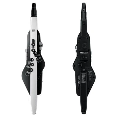 Roland Aerophone AE-20 Digital Wind Synthesizer with Soft Bag Bluetooth MIDI USB - Image 1 of 4