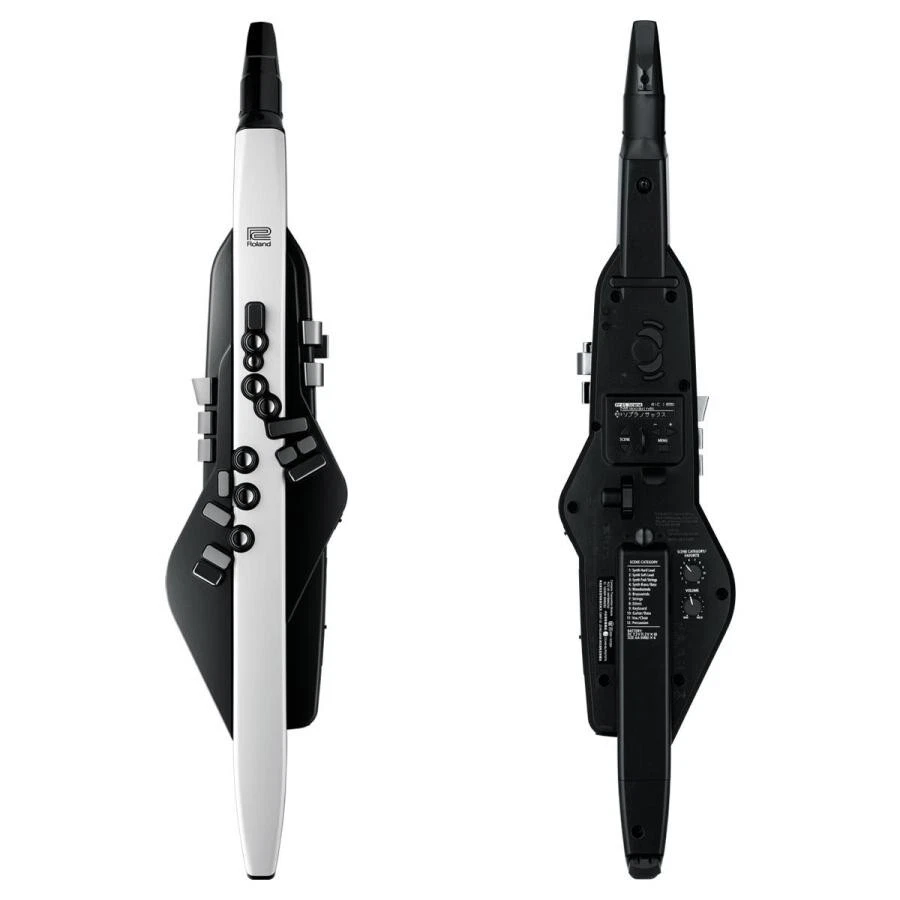 Roland Aerophone AE-20 Digital Wind Synthesizer with Soft Bag Bluetooth MIDI USB - Image 1 of 4