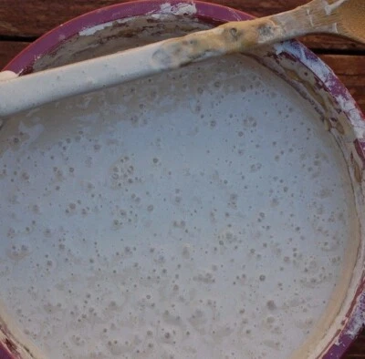 THE BEAST iniciador de masa madre 10 levaduras de masa madre en 1 iniciador @fresh d Foto 1 de 4