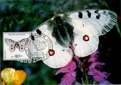 Germany 1991 Alpen Apollo Butterfly 90+45 Pf FDC Berlin Scott B740 - Image 1 of 2