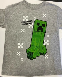Boys’ Minecraft ‘SSSSEASONS GREATINGS’ Short Sleeve Graphic Tee Gray XS 4/5 - Picture 1 of 3