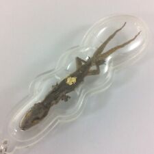 GECKO Lizard Casino Gamble 2 Tail Occult Amulet Pendant Hunting Money Wealth 
