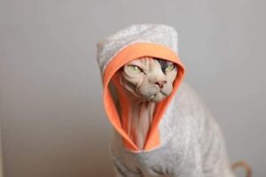 sphynx cat clothes all in one suite costume pyjama