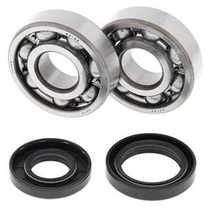 ALL BALLS 24-1025 CRANKSHAFT BEARINGS for Yamaha 125 YZ 2001-2004 - Picture 1 of 2