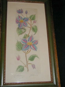 VINTAGE HAND COLORED ETCHING OF FLOWERS, ARTIST SIGNED, FRAMED ORIGINAL ARTWORK - Picture 1 of 5