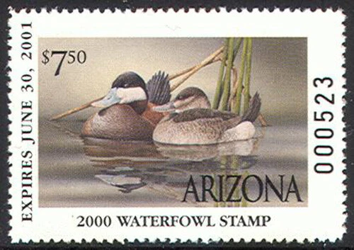 AZ14 2000 Arizona State Duck Stamp (MNH) - Image 1 of 1