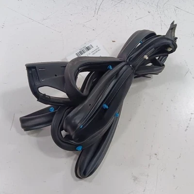 Nissan Versa En Puerta Sello Goma Pasajero Derecho Trasero Trasero 2023 2022 2021 2020 Foto 1 de 4