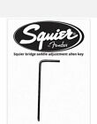 1st Class SAMEDAY Squier Telecaster Guitar Allen key bridge saddle adjustment