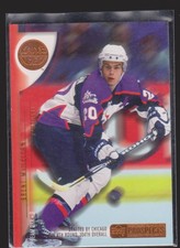 Major Minor League CHL OHL WHL LHJMQ ECHL Cards Inserts Rookies Collection (1/2)