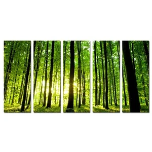 Forest Canvas Prints Forest Sunset Pictures Wall Art Nature Landscape Paintin... - Picture 1 of 5