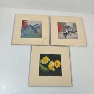 Susho King Silk Art ( 3 PC ) - Picture 1 of 7