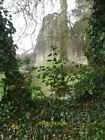 Photo 6x4 Wenlock Priory - Ethereal ruins and snowdrops Much Wenlock A fe c2022