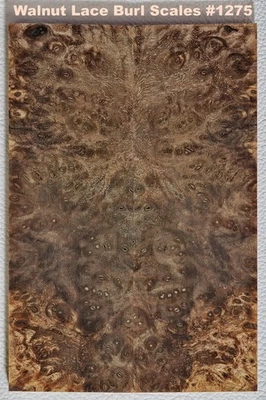 Excepcional Cuchillo Claro Estabilizado Encaje Burl Escalas #1275, 6 x 2 x 7/16" Foto 1 de 4