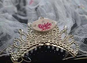 Flashing Tiara Bride To Be Veil L Plate Girls Night Out Party Wedding Accessory - Picture 1 of 5