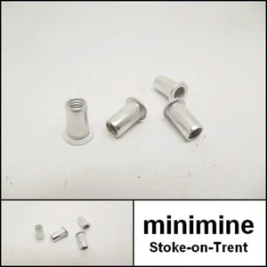 Clásico Mini Puerta Espejo Tornillo Fijador Tuercas Juego de 4 ADU2038 Inserto de Piel Cooper - Imagen 1 de 1