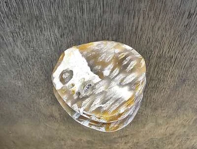 Rare Agate Coral Crystal Fossil  - UK   (#9) - Image 1 of 4