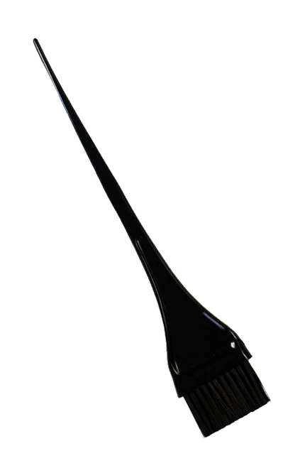 HAIR TOOLS - Tönungsbürste - Standard schwarz
