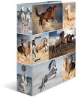 Herma Motiv-Ordner A4 A4 Animals - Pferde