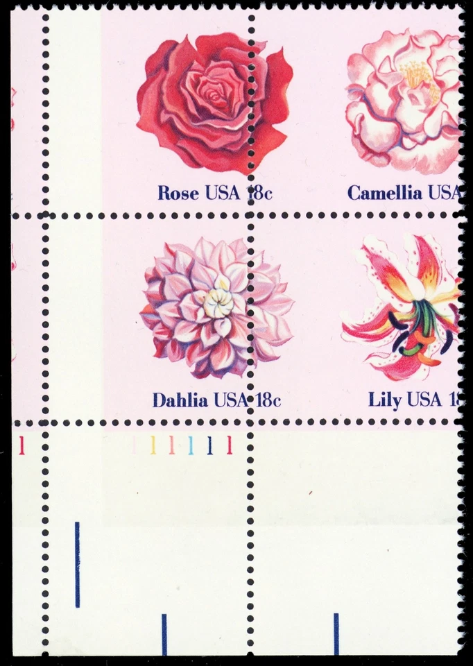 1876-79a, MNH 18¢ Misperforated Freaky Error Plate Block * Stuart Katz - Image 1 of 1