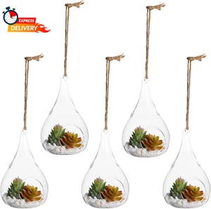 Juvale 5-Pack Hanging Glass Terrarium Containers - Air Plant Holder, Succulent P - Picture 1 of 12