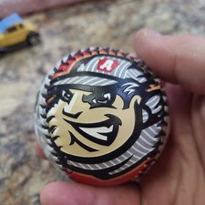 Nice 2009 Altoona Curve Chrome Rawlings Baseball