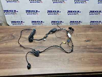 PORSCHE MACAN 95B CABLEADO PUERTA DELANTERA TELAR CÁMARA ENCHUFE 95B971030CJ LADO IZQUIERDO 2017 Foto 1 de 4