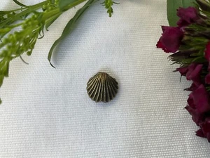New, Stylish Jewelry, A Clam, Necklace Steel Pendant in brass color - Picture 1 of 2